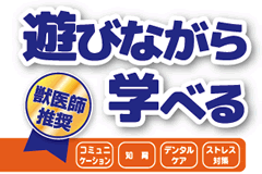 toy20191014