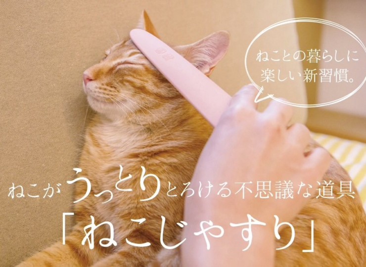 20191103shouhin